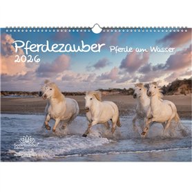 Pferdezauber Calendrier A3 pour poulains 2026 Motif chevaux sur l'eau Contenu : 1 calendrier