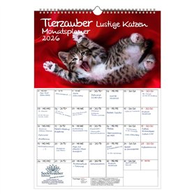 Tierzauber Calendrier 2026 Motif chats amusants Format A3 Pour chats amusants Contenu de la livraison : 1 calendrier