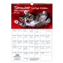 Tierzauber Calendrier 2026 Motif chats amusants Format A3 Pour chats amusants Contenu de la livraison : 1 calendrier