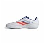 Chaussures de Futsal pour Adultes Adidas F50 Club Blanc