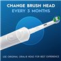 Tête de rechange Oral-B