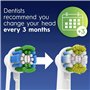 Tête de rechange Oral-B