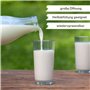 Viva Lot de 4 bouteilles en verre avec 8 couvercles Blanc 1000 ml Avec étiquettes