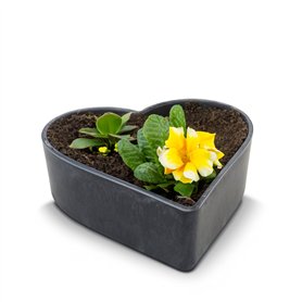 Matches21 Pot de fleurs en forme de cœur résistant aux intempéries pour l'extérieur – Grand bol décoratif noir marbré comme bac