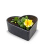 Matches21 Pot de fleurs en forme de cœur résistant aux intempéries pour l'extérieur – Grand bol décoratif noir marbré comme bac