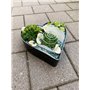 Matches21 Pot de fleurs en forme de cœur résistant aux intempéries pour l'extérieur – Grand bol décoratif noir marbré comme bac 