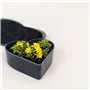 Matches21 Pot de fleurs en forme de cœur résistant aux intempéries pour l'extérieur – Grand bol décoratif noir marbré comme bac 