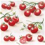 Lot de 20 serviettes de table Tomates rouges | légumes | jardin | nourriture | cuisine | santé | décoration de table | fête | br