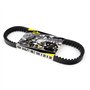 Area1 Courroie trapézoïdale de rechange 835 x 20 x 30 cm pour moteurs GY6 125/150 cm³