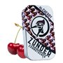 ZUNDER Lot de 80 cure-dents aromatisés dans une boîte élégante - Idéal pour le nettoyage des dents ou pour briser les habitudes