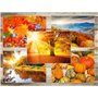 Edition Colibri 30 cartes postales PAYSAGES ET NATURE, cartes de voyage, tous des motifs différents de la France et de l'Europe 