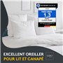 LILENO HOME Lot de 6 de garnissage d'oreiller 40x40 cm - Coussin intérieur Lavable à 40°C adapté aux allergiques - Garnissage en