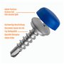 Lot de 4 vis de plaque d'immatriculation avec pointe de perçage et capuchons - 5 x 19 mm - Vis de fixation avec capuchons - Disc