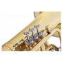 Classic Cantabile MB-33 baryton de marche