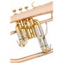 Lechgold FH-60G Bugle