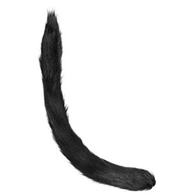 Balinco Cat Woman Queue de Chat pour Femmes/Femmes et Filles pour Le Carnaval