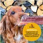 Hey Pets Bouche de Boeuf pour Chiens comme Snack Naturel pour Chiots, Petits Chiens & Seniors, 500g de friandises sans céréales,