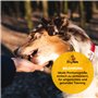 Hey Pets Bouche de Boeuf pour Chiens comme Snack Naturel pour Chiots, Petits Chiens & Seniors, 500g de friandises sans céréales,