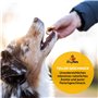 Hey Pets Bouche de Boeuf pour Chiens comme Snack Naturel pour Chiots, Petits Chiens & Seniors, 500g de friandises sans céréales,