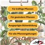 Supershield® - Grow & Bloom - Engrais pour plantes - Pour une croissance plus forte et plus saine de vos plantes - Meilleure cro