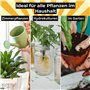 Supershield® - Grow & Bloom - Engrais pour plantes - Pour une croissance plus forte et plus saine de vos plantes - Meilleure cro