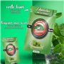 Stoxser Lot de 150 cure-dents avec goût menthe/menthol - Goût révolution - Cure-dents - Sans chewing-gum - Convient pour le dent