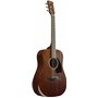 Ibanez Acoustic guitar / PF14JROPN Standard