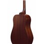 Ibanez Acoustic guitar / PF14JROPN Standard