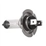 Melitt 2 X H7 Ampoule Lampe 55 Watt 12V pour Voiture