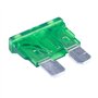 Lullaxy Vehicule Voiture 30A 30Amp Corps Vert Dents Lame Fusible 30pcs