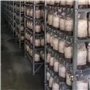 Sirxlevcy 100 Pièces Séries Champignon de Culture Sac Champignon Spawn Épais 6 6 Pouces X 20 Pouces 0,2 Micromètre Filtre Respir