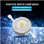 iFutniew 50Pcs 1W Diode Haute Puissance Blanc Froid LED Perles 1 Watt Lampe Puce 3V-3.4V