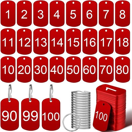 GIWFBQTR 100 Pièces D'Étiquettes Numérotées en Aluminium avec Porte-Clés