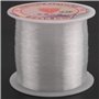 Bsowte Bobine de fil de pêche en nylon transparent de 0,2 mm de diamètre