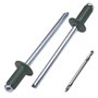 SKIR'CO Lot de 100 rivets aveugles peints 4