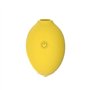 Oeuf vibrant Jouet sexuel pour adulte