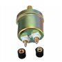 meiyan 1/8NPT Sonde de Pression D' Capteur de Pression D' Sonde de Pression D' Bouchon de Détection de Remplacement