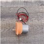 EMSea 2Pcs Petit Moteur de Réduction 3rpm Moteur à Engrenages à Vitesse Lente 3-12V DC Moteur à Engrenages à Vitesse Lente à Fai