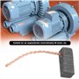 VGOL 2 Paires de Balais de Charbon 5 X 5 X 12 Mm pour Ventilateurs Moteurs d'essuie-glace Et Moteurs de Lève-vitre Pièce de Rech