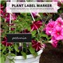 Lobamop Lot de 30 étiquettes en métal pour plantes - Résistantes aux intempéries - Réutilisables - Pour l'école et les légumes -