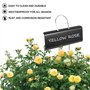 Lobamop Lot de 30 étiquettes en métal pour plantes - Résistantes aux intempéries - Réutilisables - Pour l'école et les légumes -