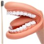 Exogio Bouche Marionnette avec Langue Dents