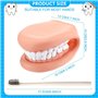 Exogio Bouche Marionnette avec Langue Dents, Modèle de Démonstration Dentaire, Bouche Marionnette à Main Dentaire Bouche Modèle 