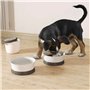 Gamelle Pliable pour Animaux Domestiques Curver Plastique 19 x 8 x 18 cm (6 Unités)