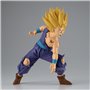 Dragon Ball Z