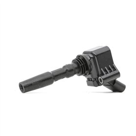 Delphi Technologies GN10631-12B1 Bobine D'Allumage