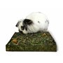 ROSEWOOD Naturals Prairie d'herbe aux pissenlits et Fleurs à grignoter et Creuser, pour Petits Animaux