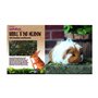 ROSEWOOD Naturals Prairie d'herbe aux pissenlits et Fleurs à grignoter et Creuser, pour Petits Animaux