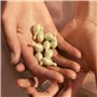Huile visage Eve Lom Capsules 1,25 ml x 50