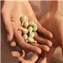 Huile visage Eve Lom Capsules 1,25 ml x 50
